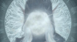 Fractured Soul